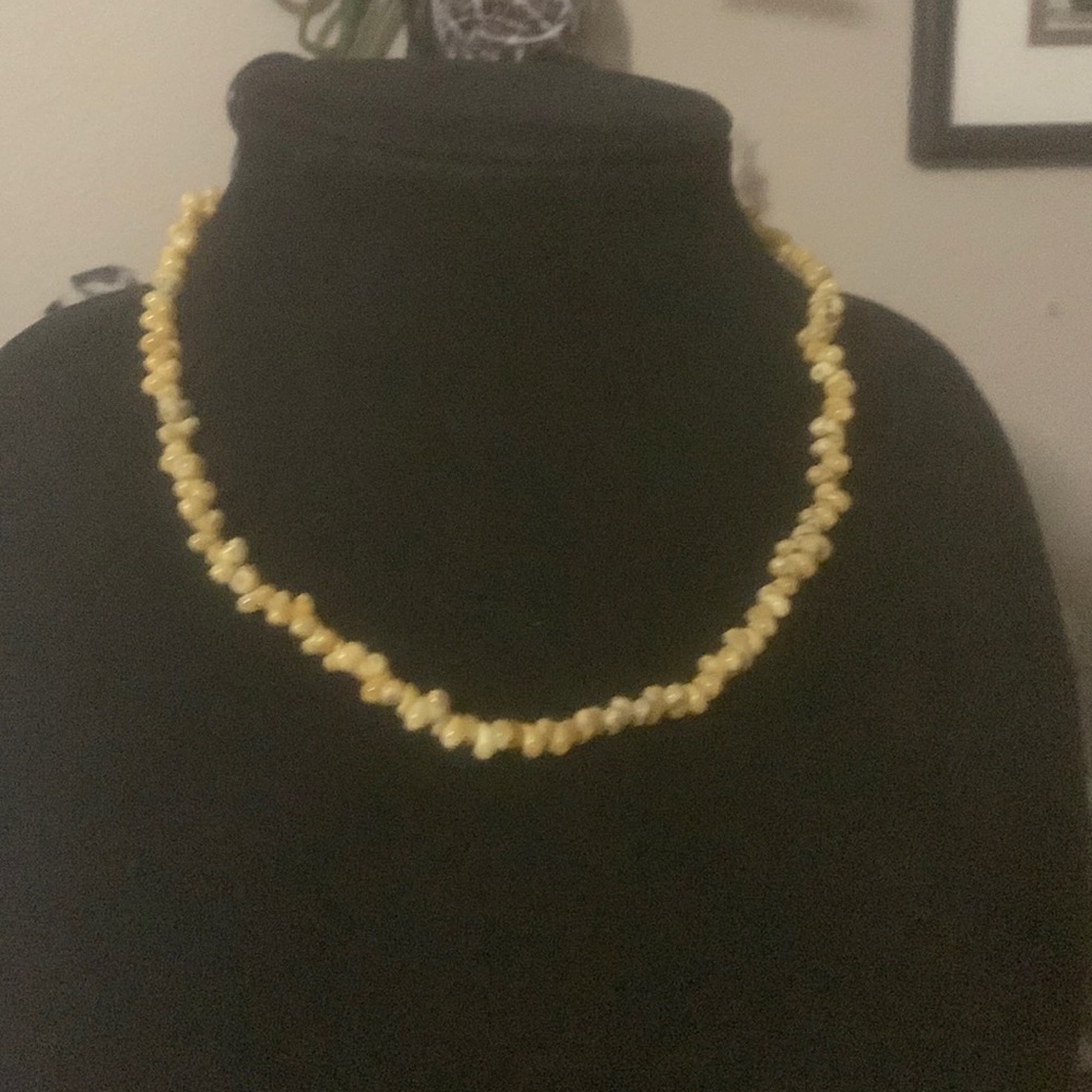 Yellow small shell